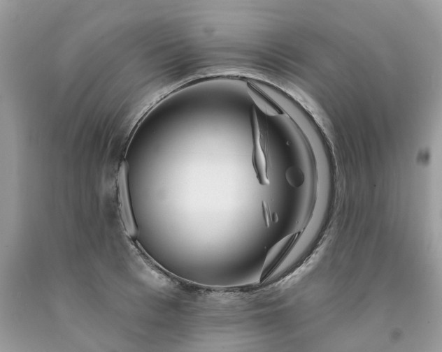 X0000091670993200709061039