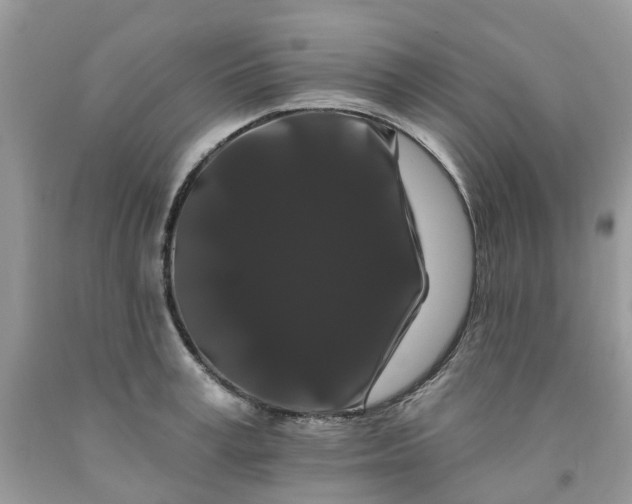X0000091670995200709061039