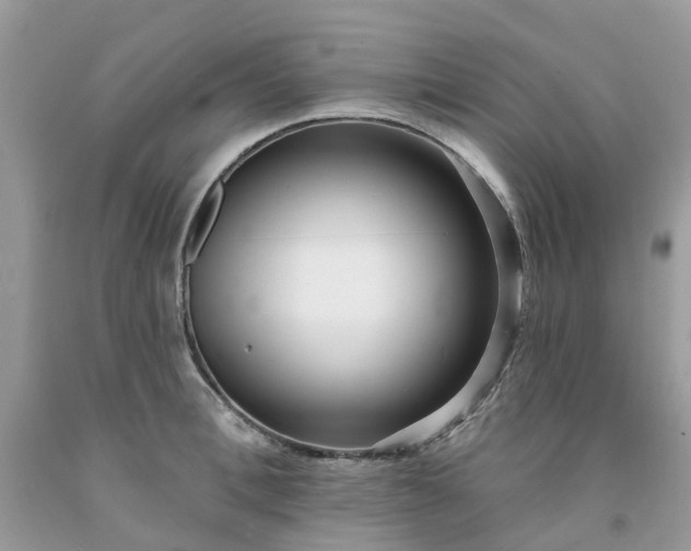 X0000091670996200709061039