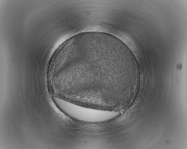X0000091670998200709061039