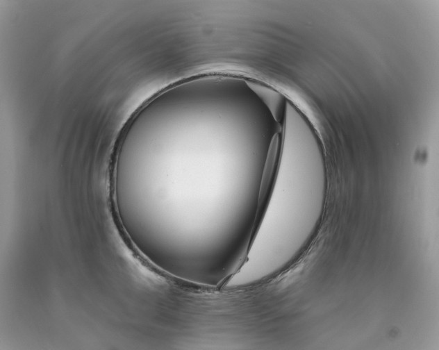 X0000091670999200709061039
