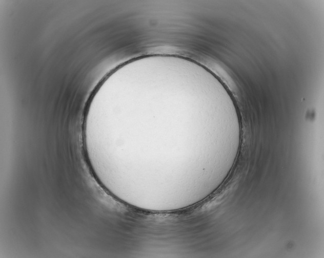 X0000091671000200709061039