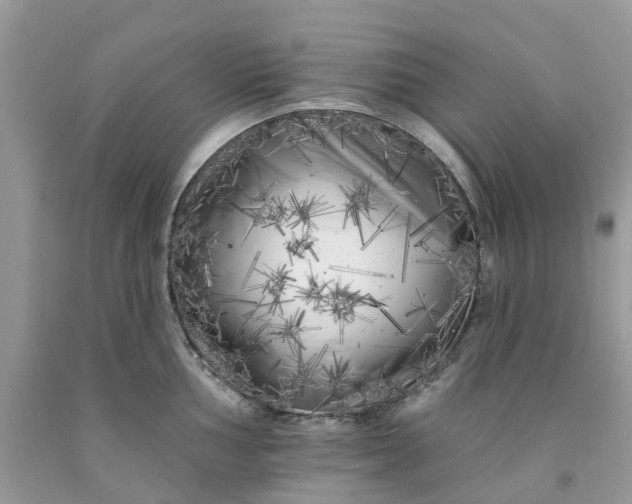 X0000091671002200709061039