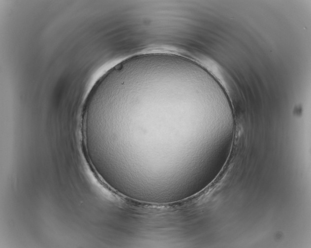 X0000091671003200709061039