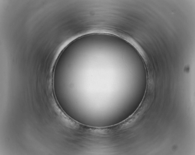 X0000091671004200709061039