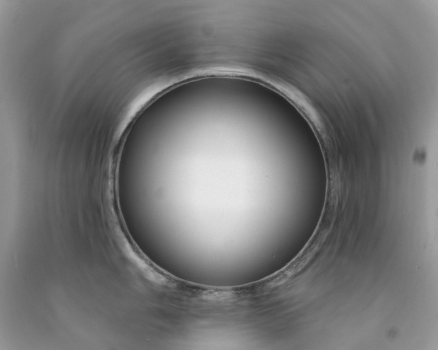 X0000091671006200709061039