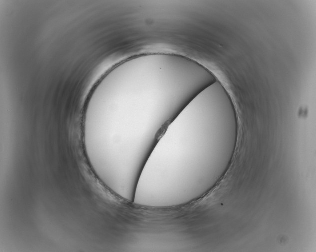 X0000091671008200709061039