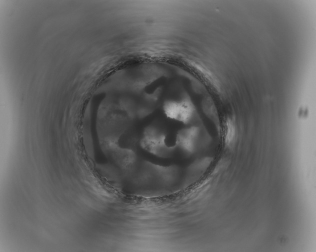 X0000091671009200709061038
