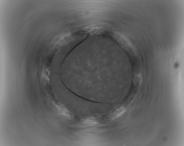 X0000091671010200709061038