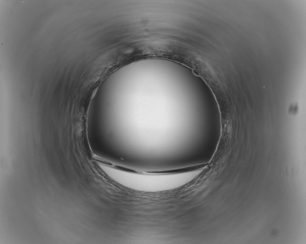 X0000091671012200709061038
