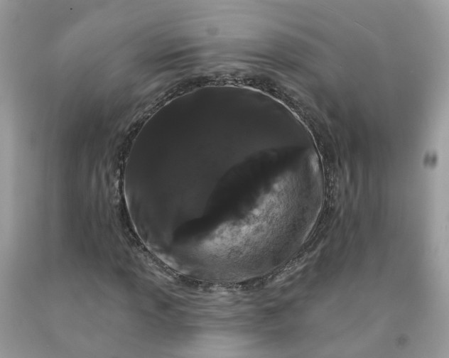 X0000091671013200709061038
