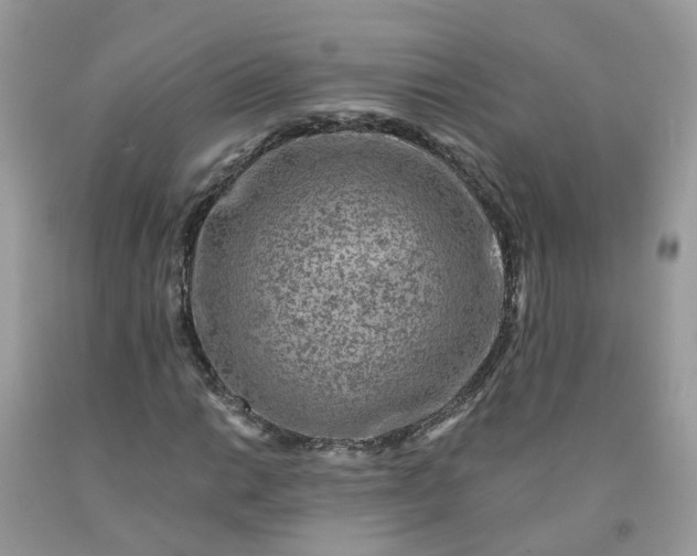 X0000091671014200709061038