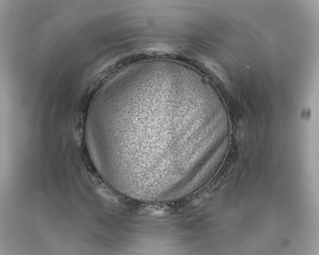 X0000091671015200709061038