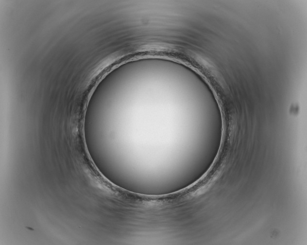 X0000091671017200709061038