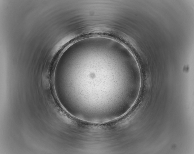 X0000091671018200709061038