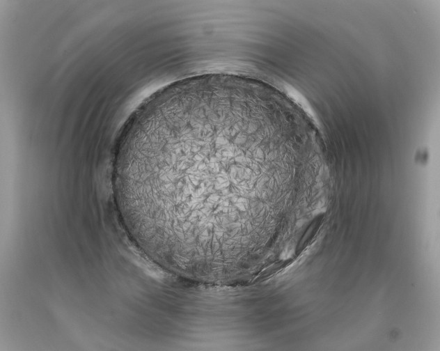 X0000091671019200709061038
