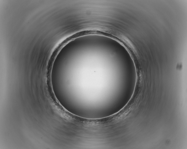 X0000091671020200709061038