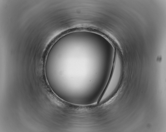 X0000091671021200709061038