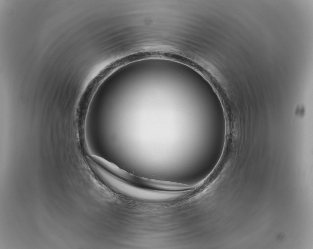 X0000091671022200709061038