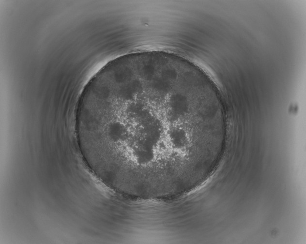 X0000091671023200709061038