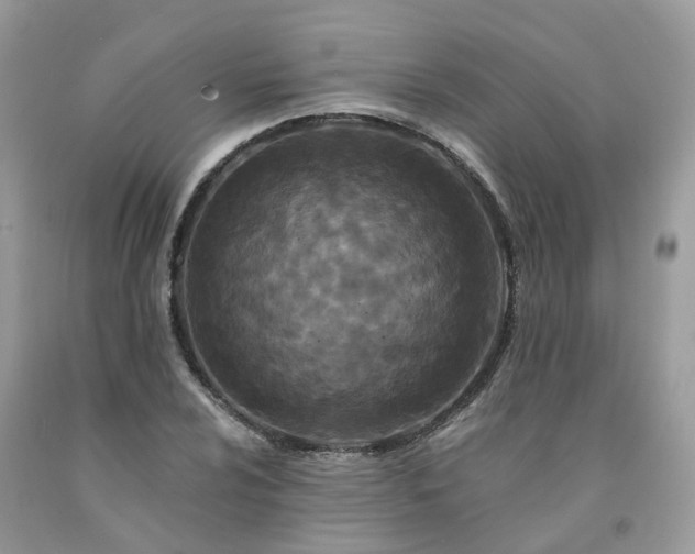 X0000091671024200709061038