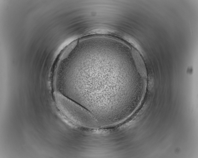 X0000091671026200709061038