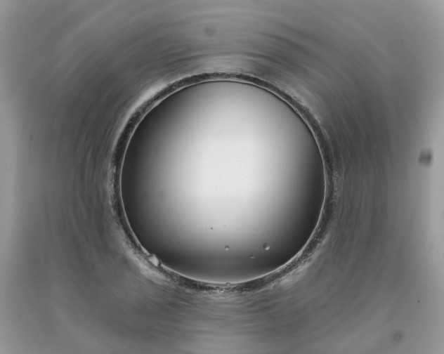 X0000091671029200709061038
