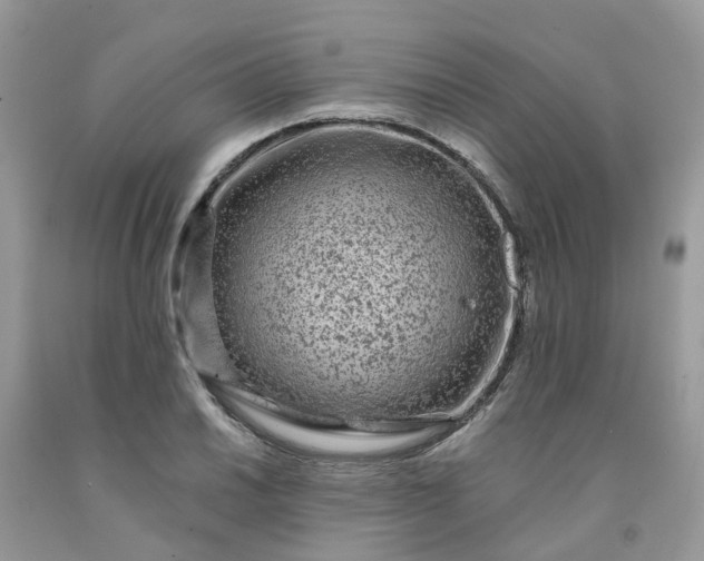 X0000091671030200709061038