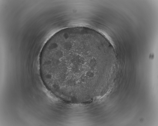 X0000091671031200709061038