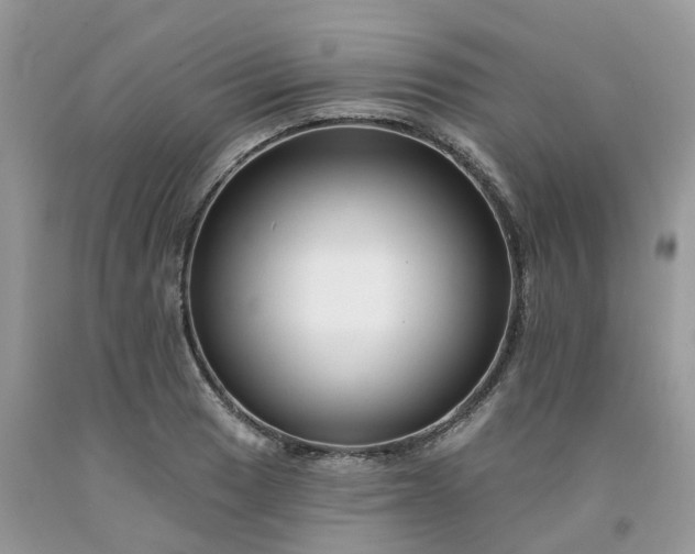 X0000091671033200709061038