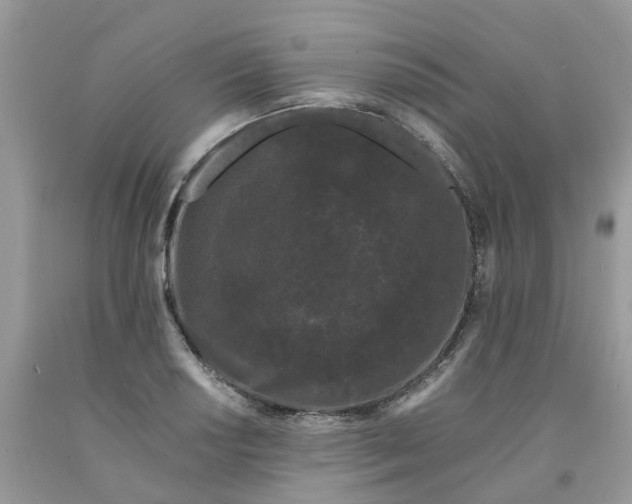 X0000091671034200709061038
