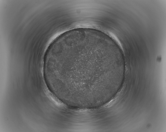 X0000091671035200709061038