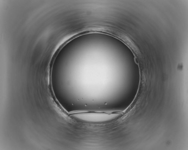 X0000091671036200709061038