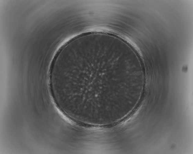 X0000091671037200709061038