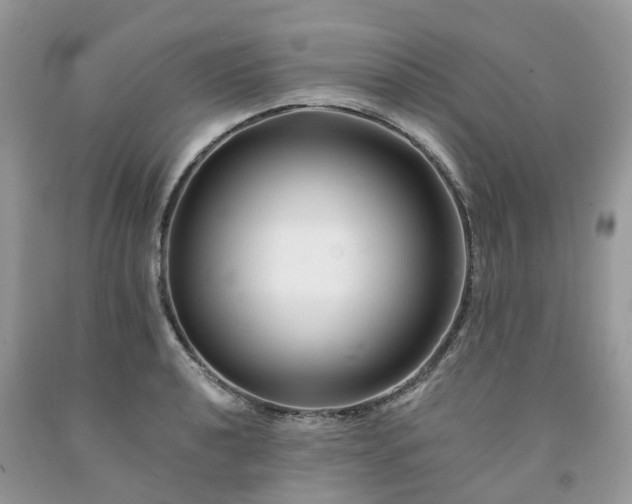 X0000091671040200709061038