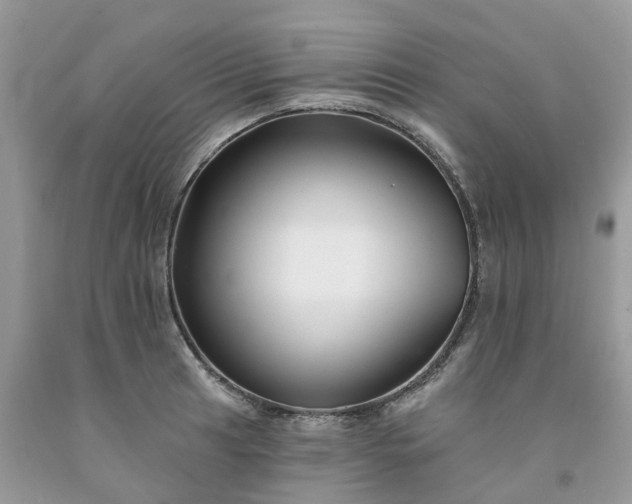 X0000091671041200709061038