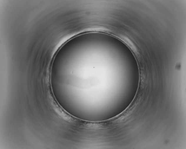 X0000091671044200709061038