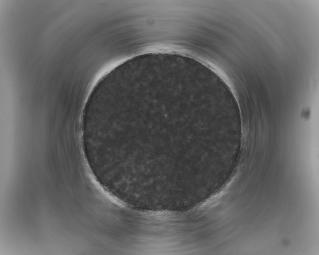 X0000091671045200709061038