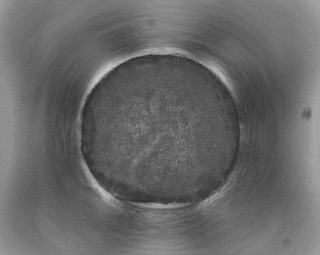 X0000091671046200709061039