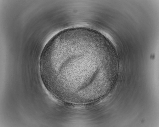 X0000091671047200709061039