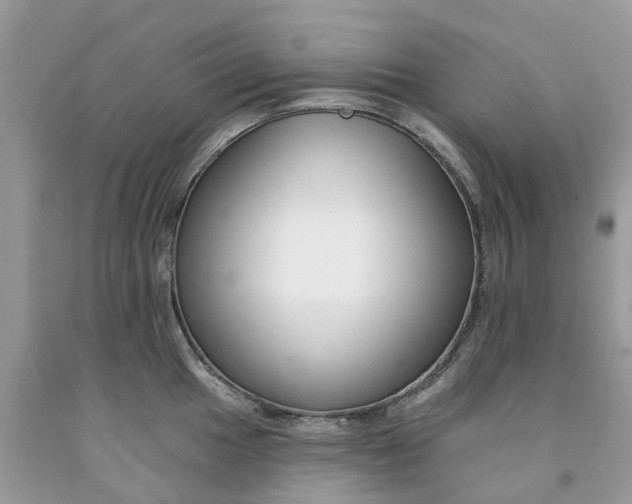X0000091671049200709061039
