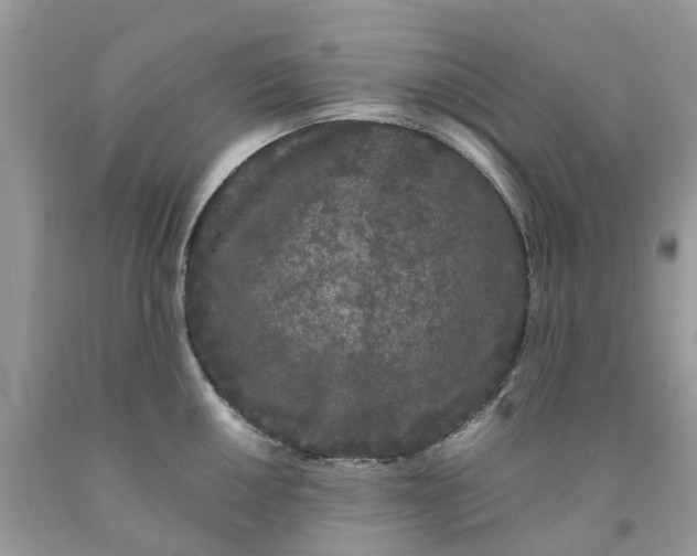 X0000091671050200709061039