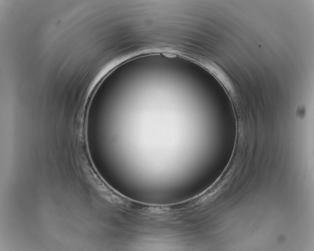 X0000091671052200709061039