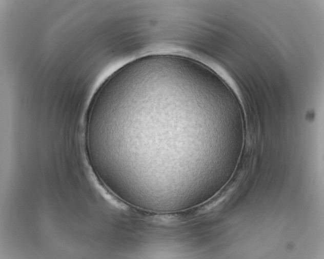 X0000091671053200709061039