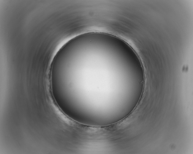 X0000091671056200709061039