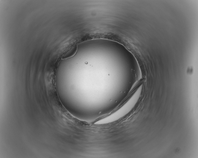 X0000091671059200709061038