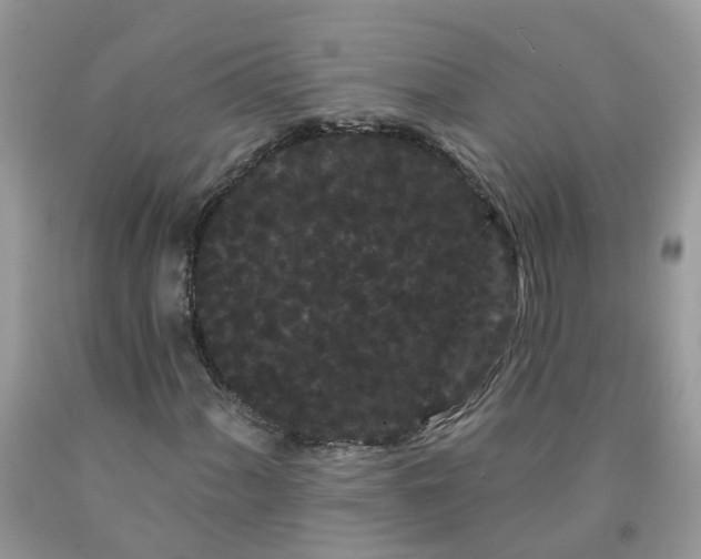 X0000091671060200709061038