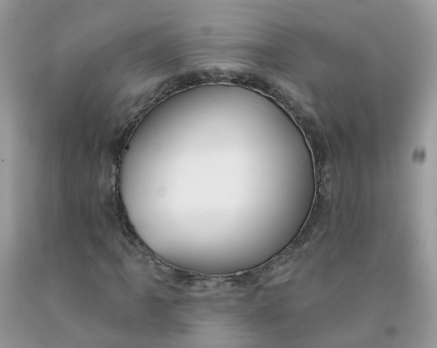 X0000091671061200709061038