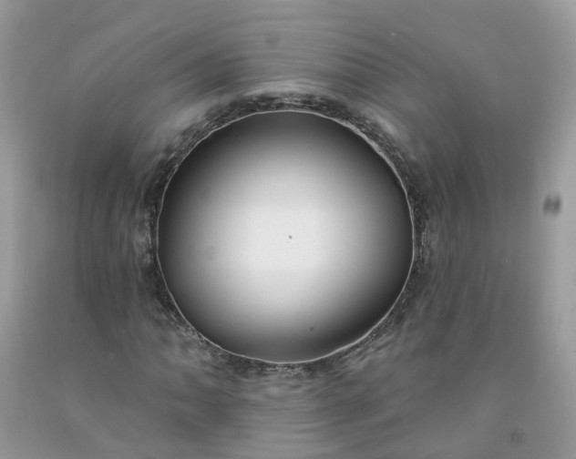X0000091671062200709061038
