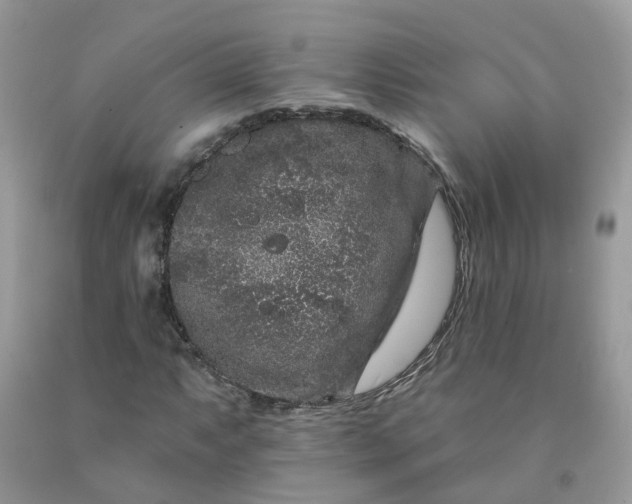 X0000091671063200709061038